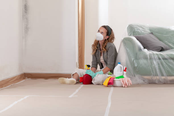 Reliable Mold Cleanup contractor in Pennington, NJ by Cheap Mold Removal
